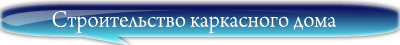Строительство каркасных  домов в Санкт-Петербурге