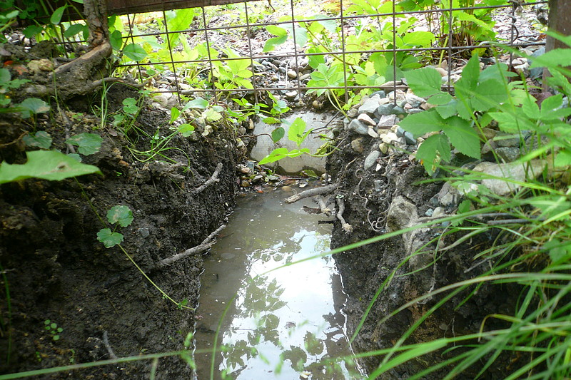 Признак высокого уровня воды в грунте, ее постоянное присутствие в ямах и канавах
