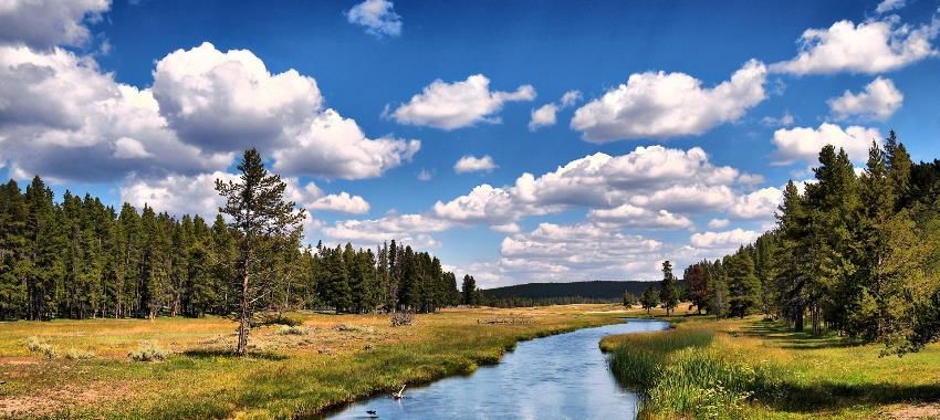 Элитные коттеджи