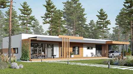 Эскизный проект Синергидом