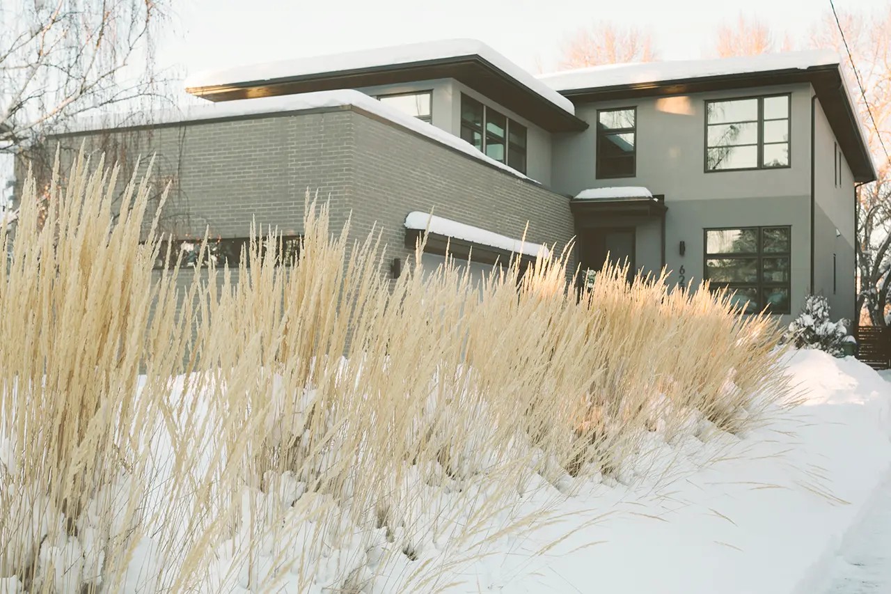 монолитный дом 